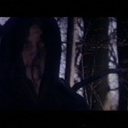 Bildclip 03